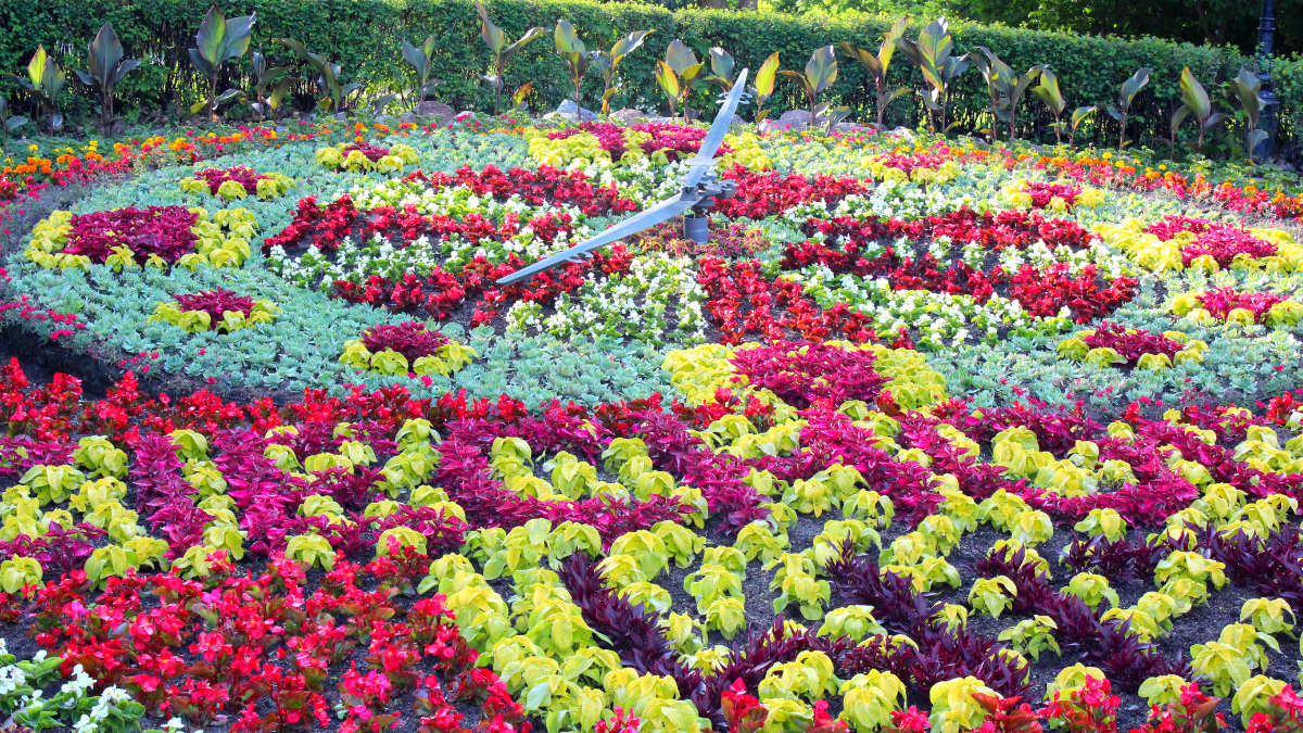 Fontanna "Jaś i Małgosia" w Parku Zdrojowym